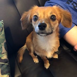 Meet your Posher, Brandon